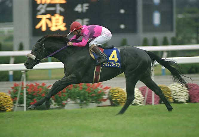 競馬】24年前の今日、ナリタブライアンが史上5頭目の三冠馬に！ | ウマ 